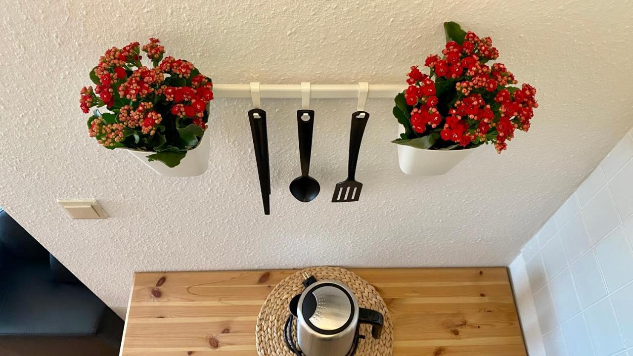 Ferienapartment Casa Heideblick Mit Sonnenterrasse & Garten Radeberg Dış mekan fotoğraf